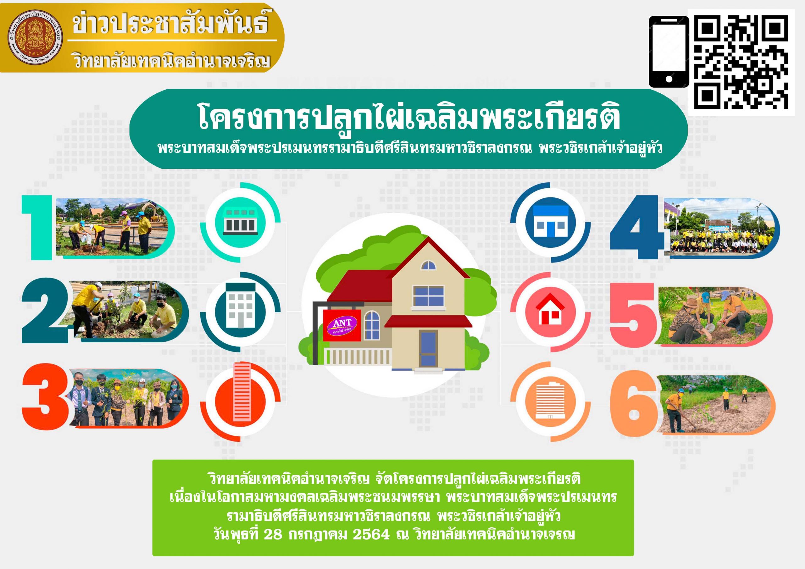 โครงการปลูกไผ่เฉลิมพระเกียรติ